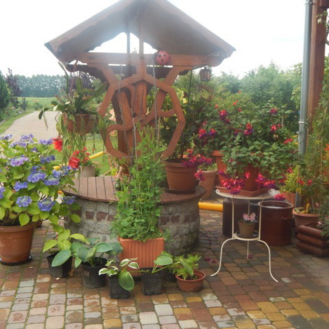 Studnia wśród kwiatów