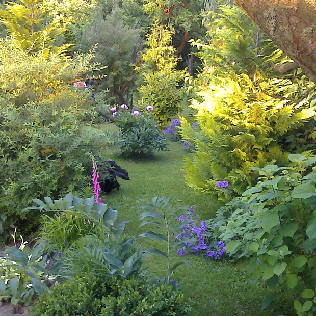 Tajemniczy ogród...