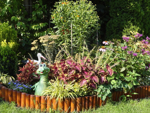 Tej rabaty pilnuje Gienek...