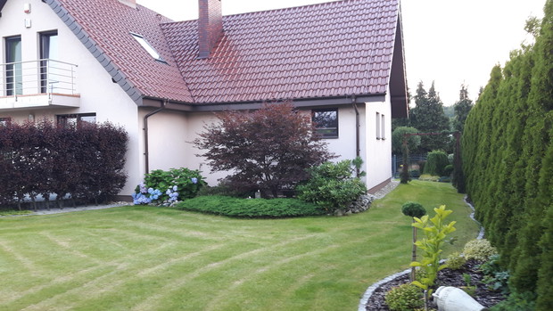 Tył domu z klonem w tle.