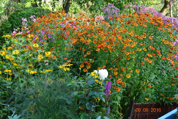 ..w ciepłym wietrze