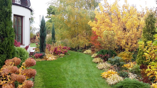 W ogrodzie „rudej jesieni”.