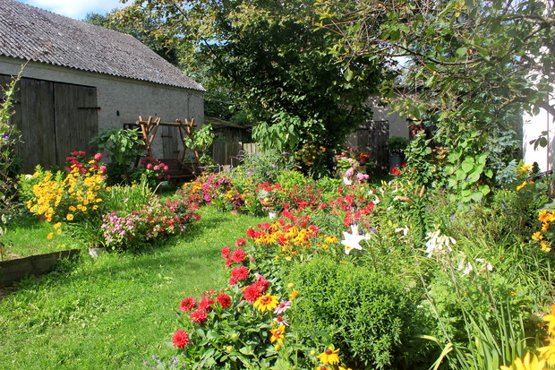 W tle huśtawka otoczona pięknymi kwiatami - miejsce odpoczynku.