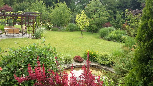 Widok na dolną część ogrodu.