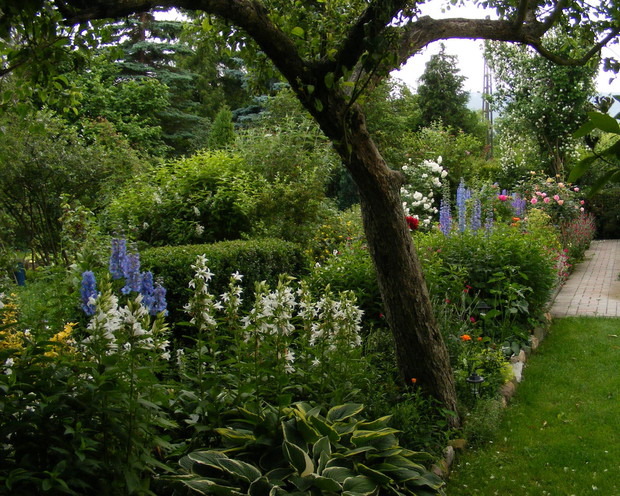 Widok na najstarszą część ogrodu.