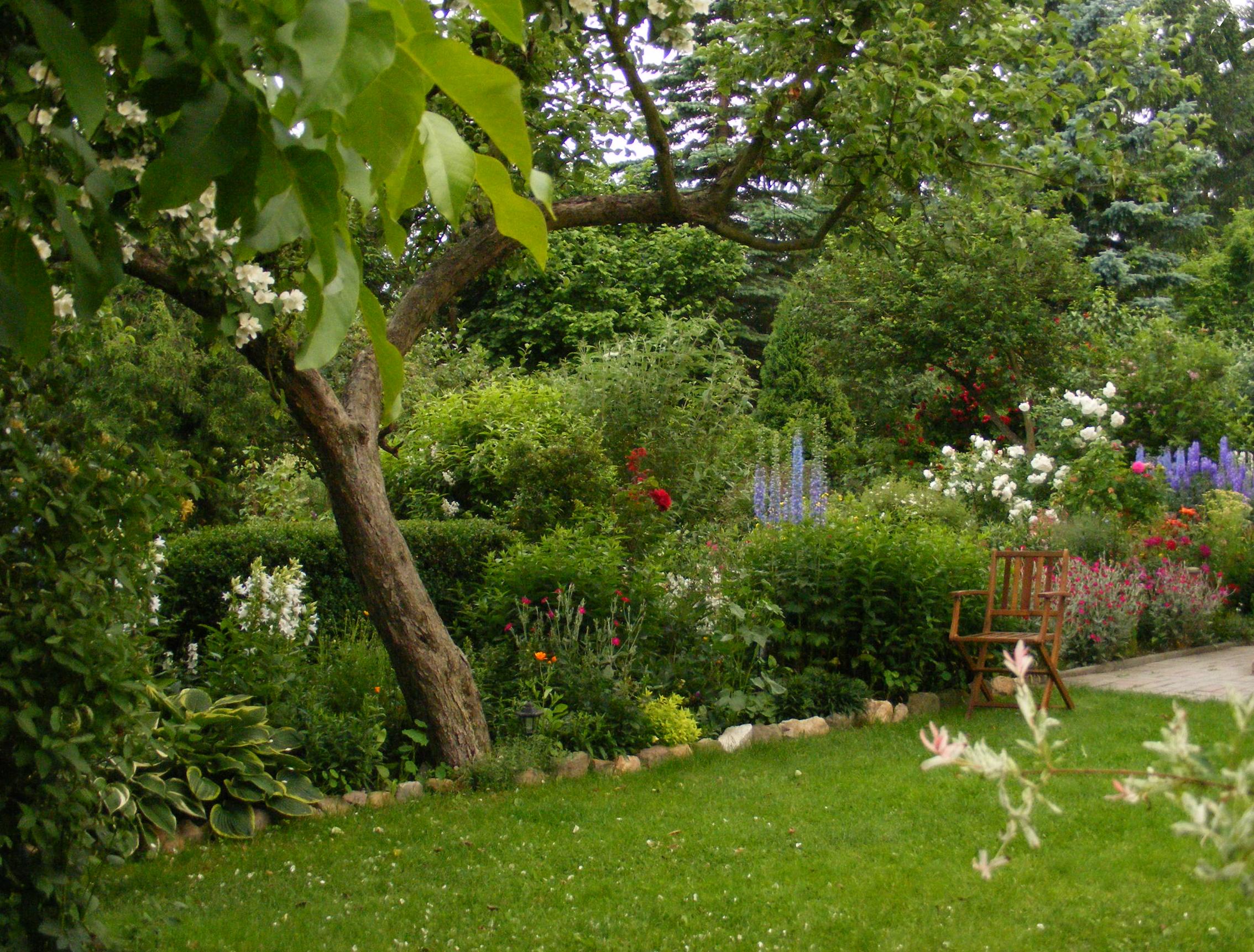 Widok ogólny na starszą część ogrodu.