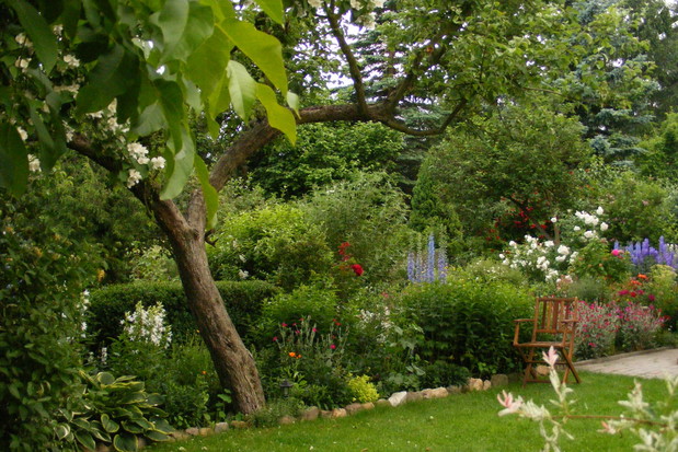 Widok ogólny na starszą część ogrodu.