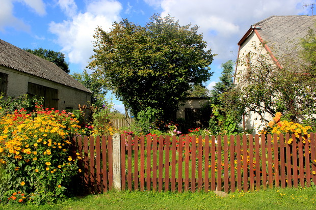 Widok ogrodu od ulicy.