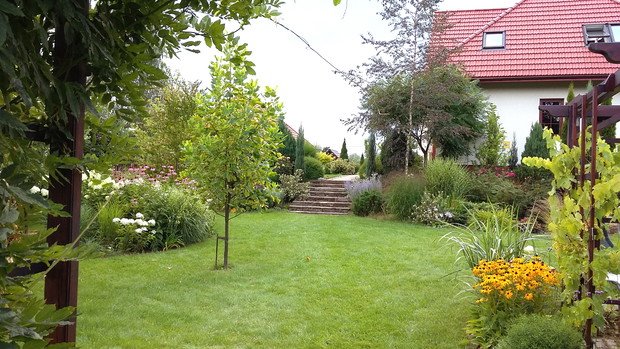 Widok z bramki ogrodowej.