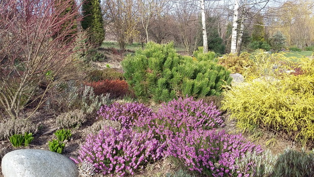 Wiosenne przebudzenie.