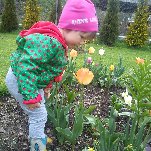 Wiosennie. Co nowego rozkwita.?