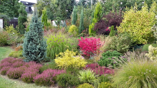 Wrzosowisko jesienią – bogactwo kolorów.