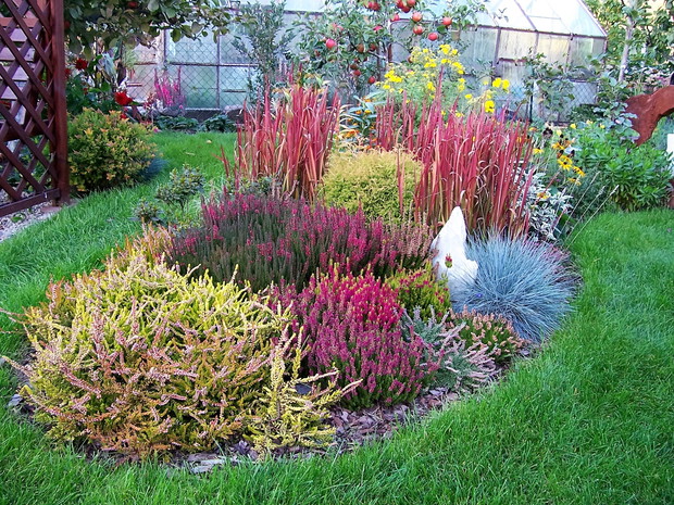 Wrzosowisko u schyłku lata.