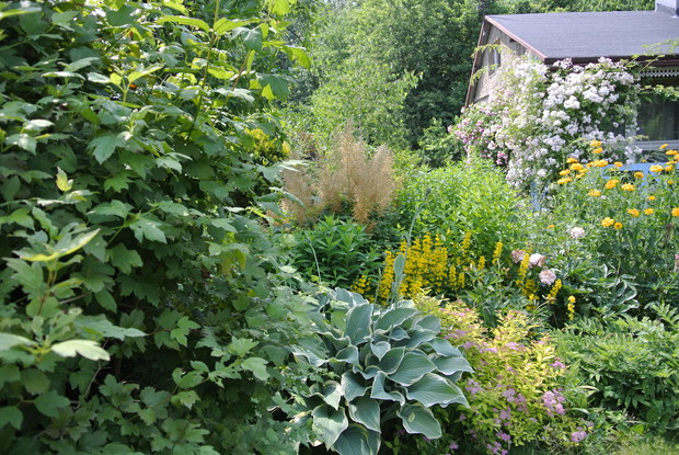 wszak to kolor nieba..i tej funkii