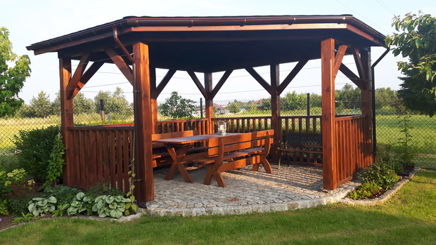 Wybudowana altana czeka na zarośnięcie przez rośliny: mini kiwi i cytryńca chińskiego. Z tyłu altany wsadziłam ligustr.