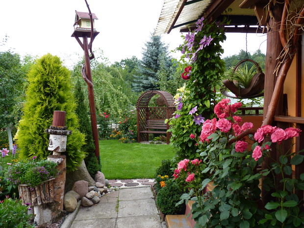 Zakątek z różą pnącą.