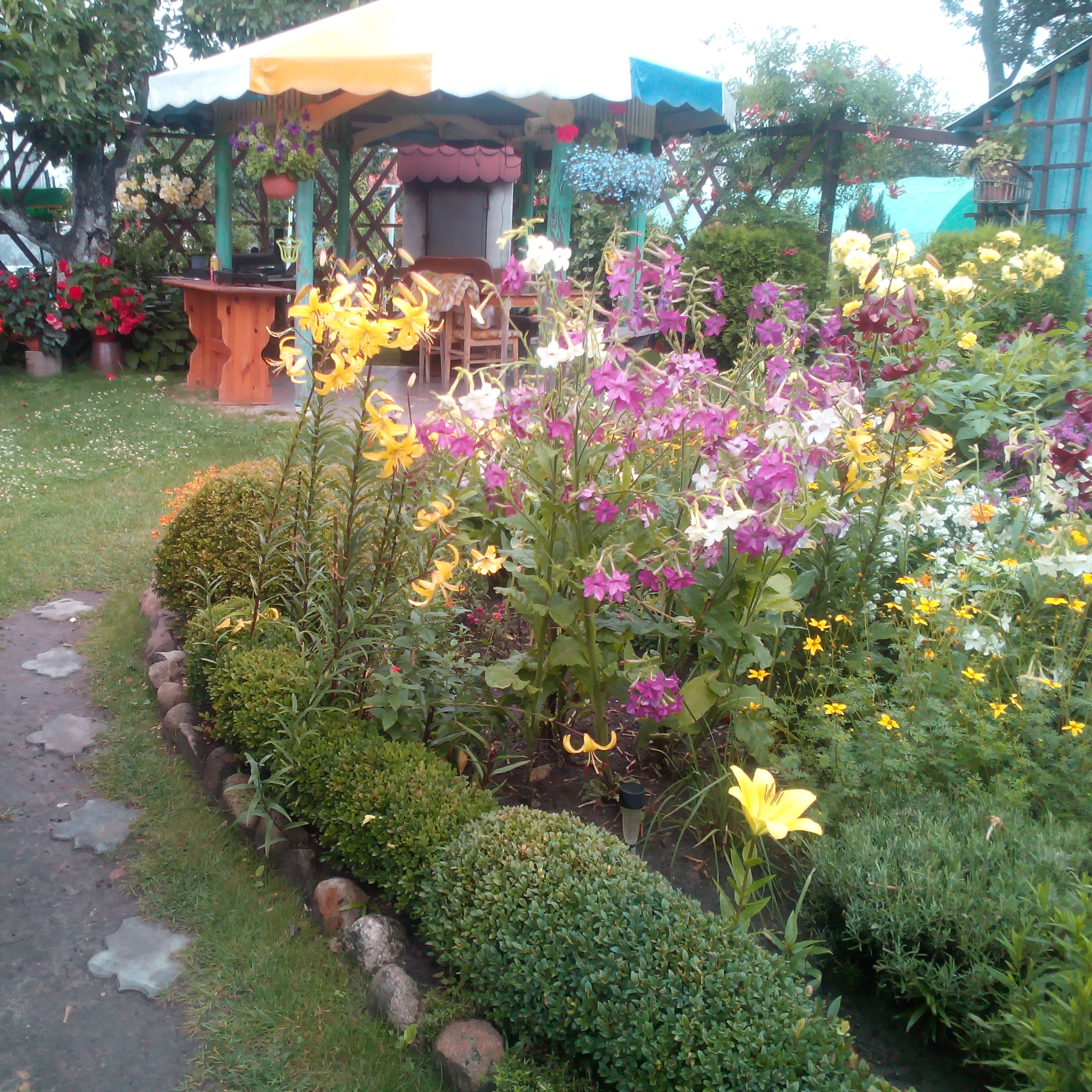 Zdjęcie nr 1 - wejście na część ogródkową działki