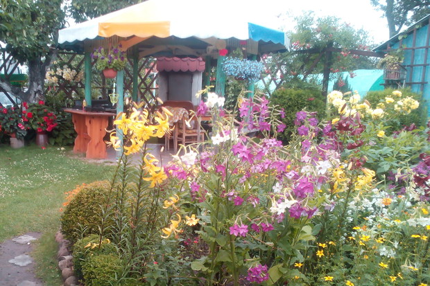 Zdjęcie nr 1 - wejście na część ogródkową działki