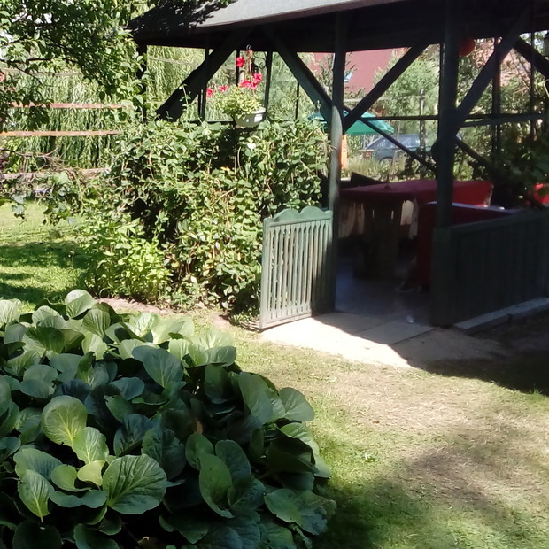 Zielona altanka zachęca do odpoczynku