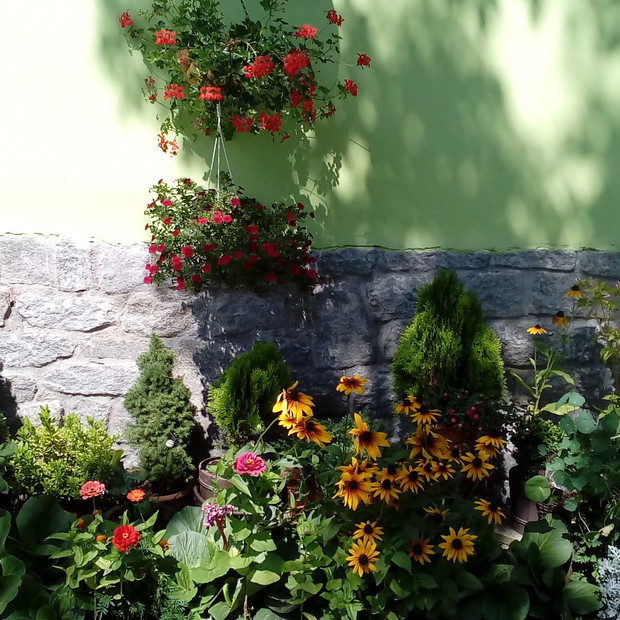 Zielone mini iglaki, słoneczne rudbekie przez długie miesiące cieszą swym widokiem