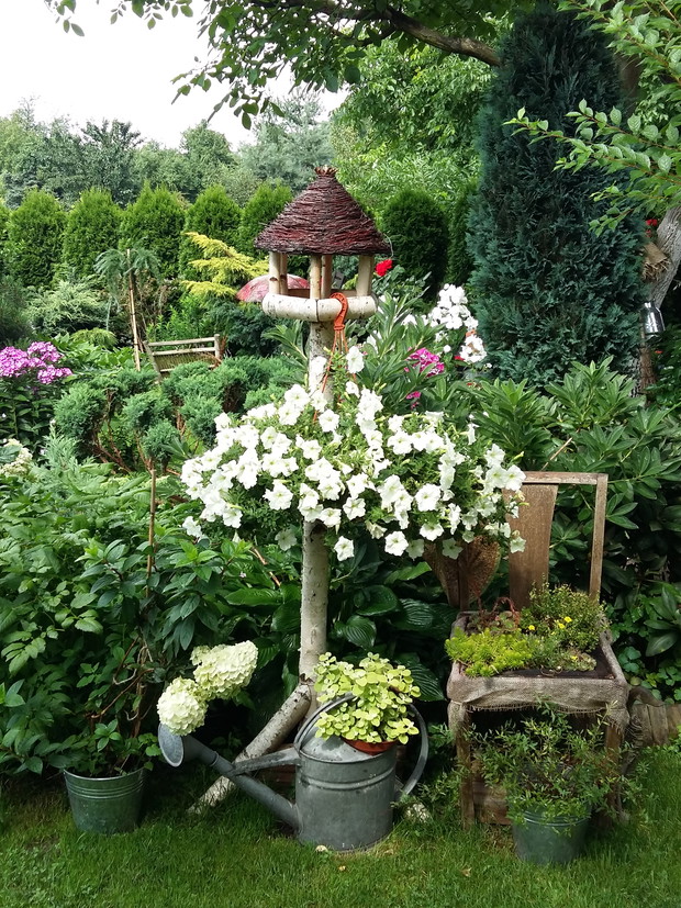 Zimą karmnik służy do dokarmiania ptaków, latem do dekoracji działki