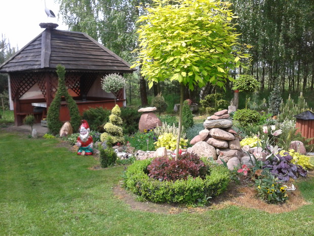 Altana - wyrób męża