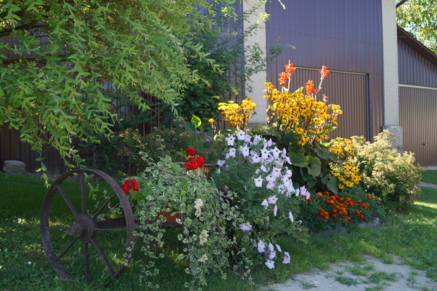 Drugie życie starego wózka