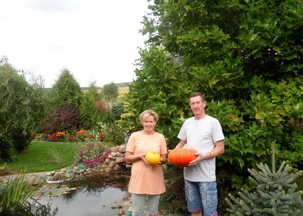 Dyniobranie ogrodowe .