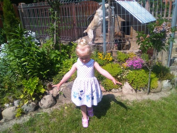 Dziękuję bardzo :-) miło było zaprezentować Państwu nasze królestwo :-)