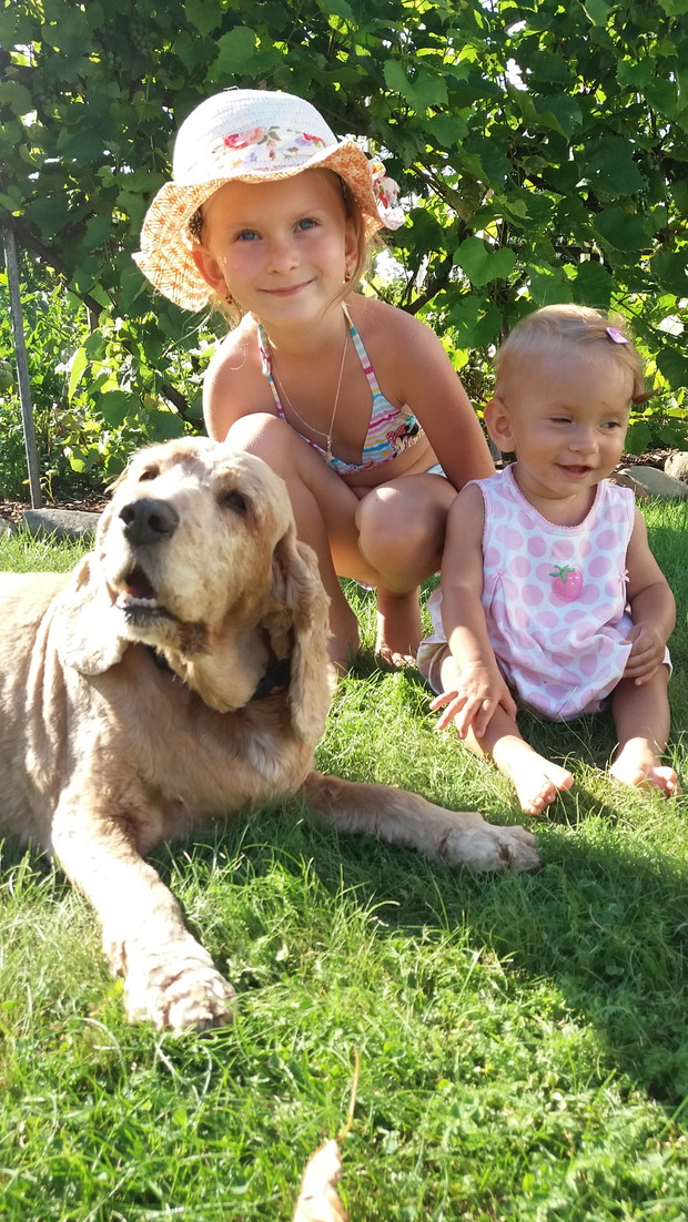 Dziewczyny z ikocganym psem pod wunogronem