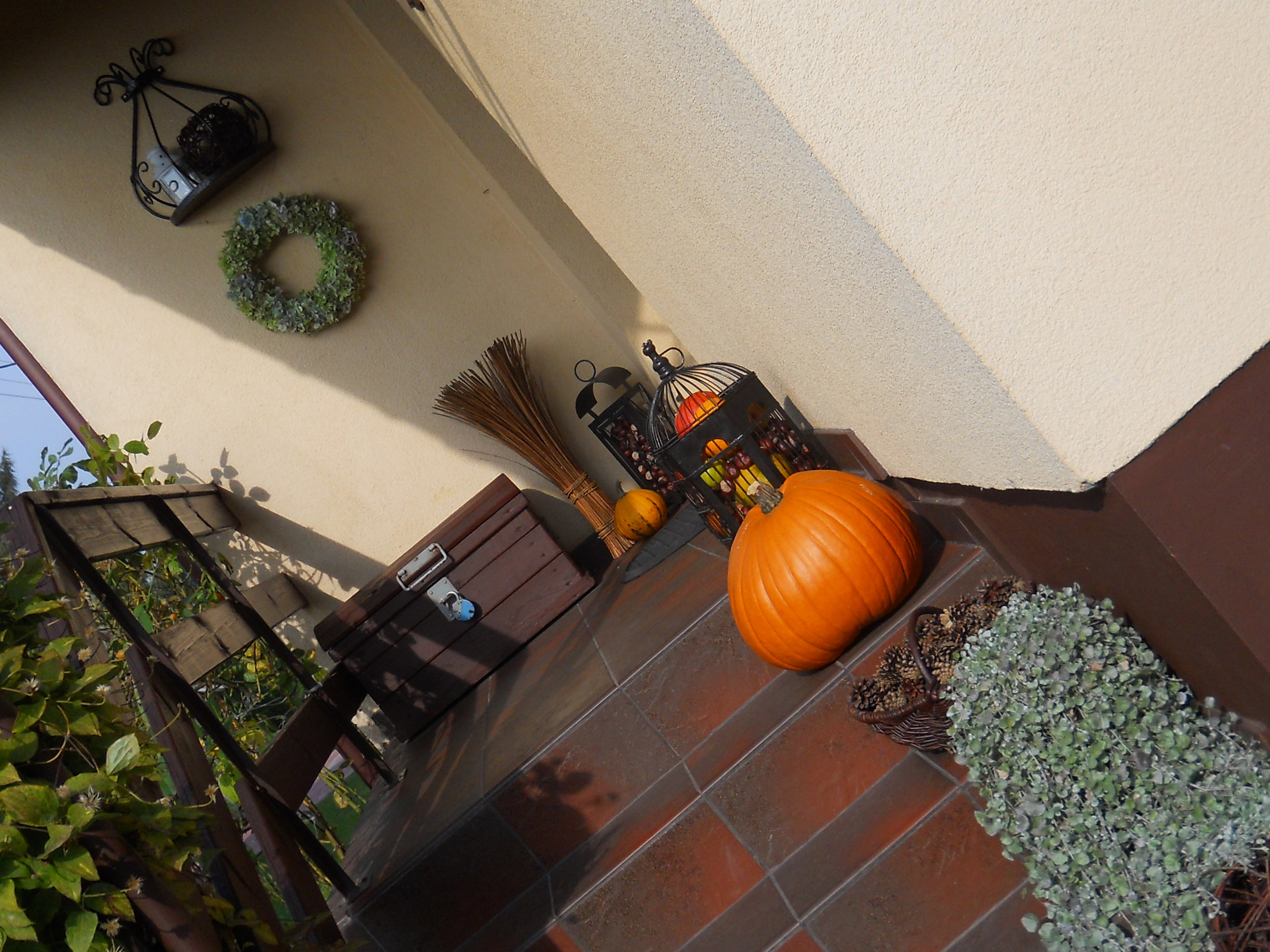 JESIENNE WEJŚCIE DO DOMU 