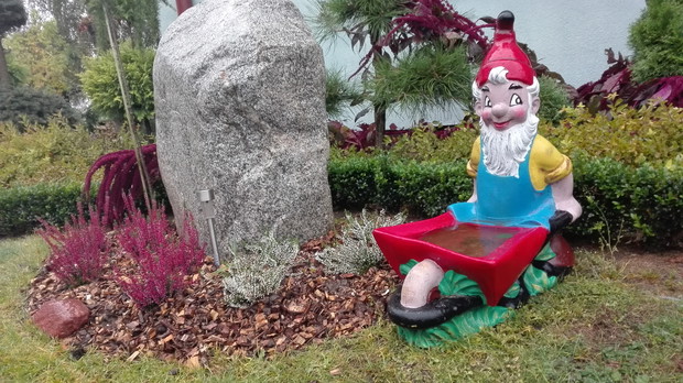 kamienie polne pięknie prezentują się w ogrodzie