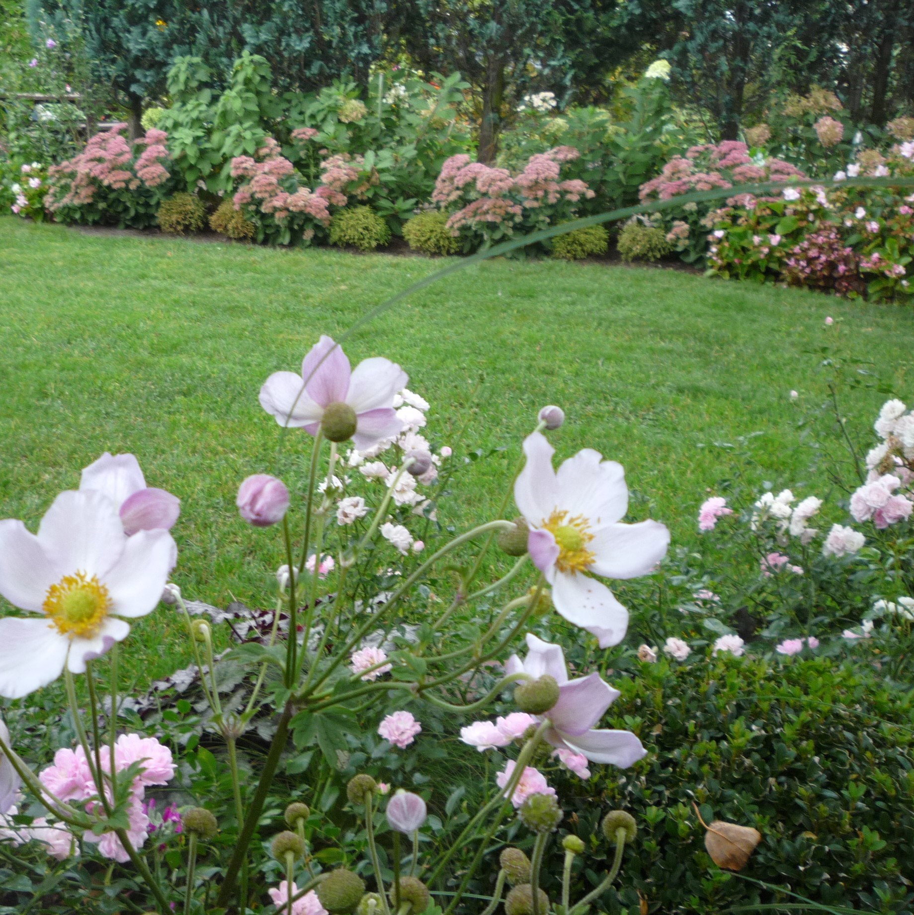 Kocham go o każdej porze roku.