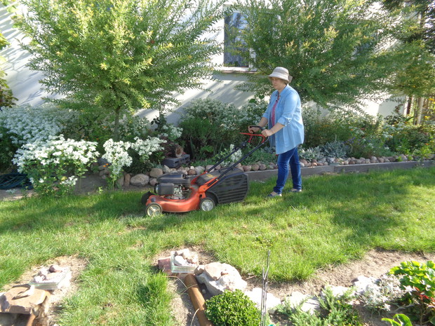 Koszenie trawy to przyjemność