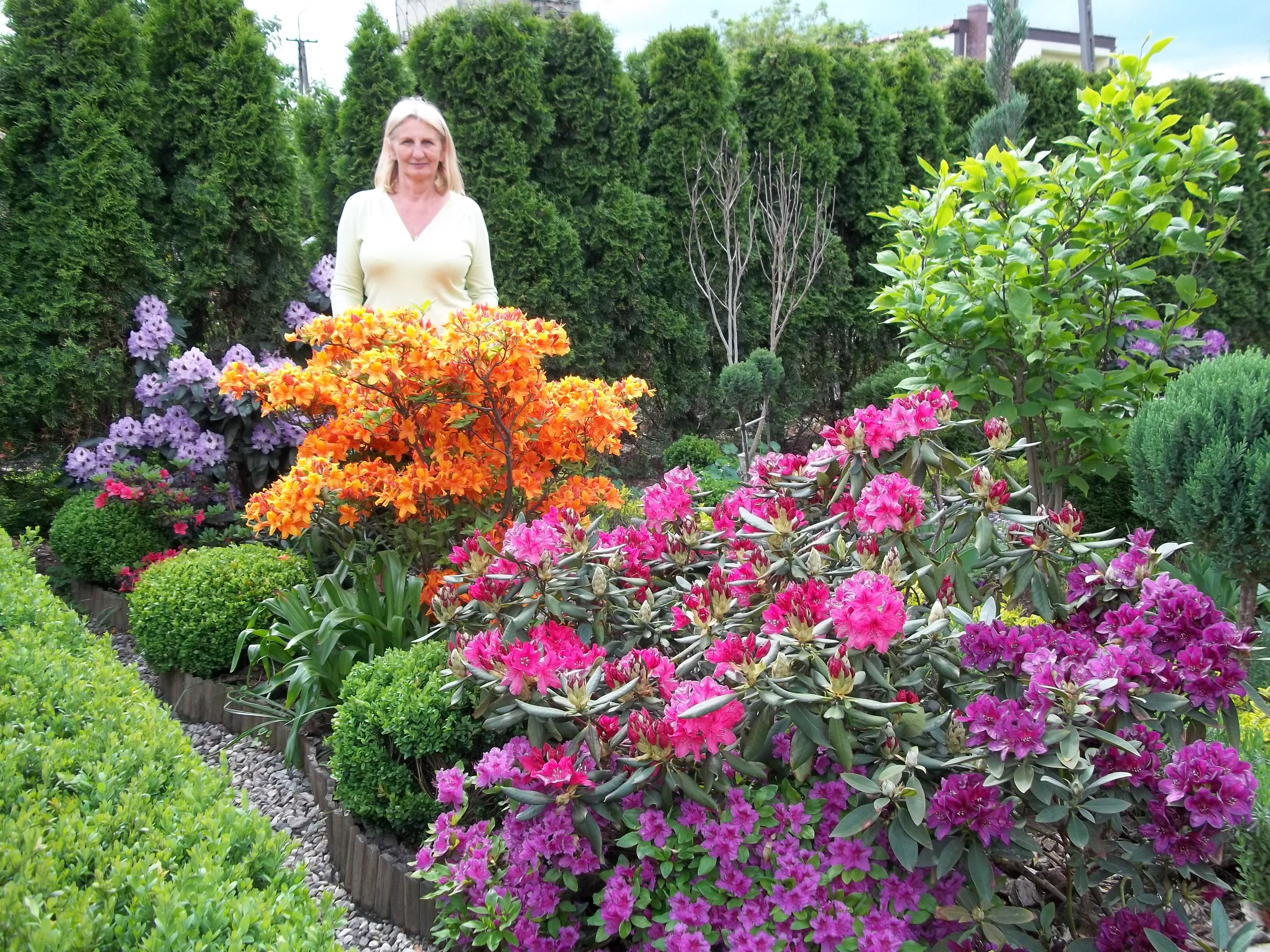 Mama wśród różaneczników