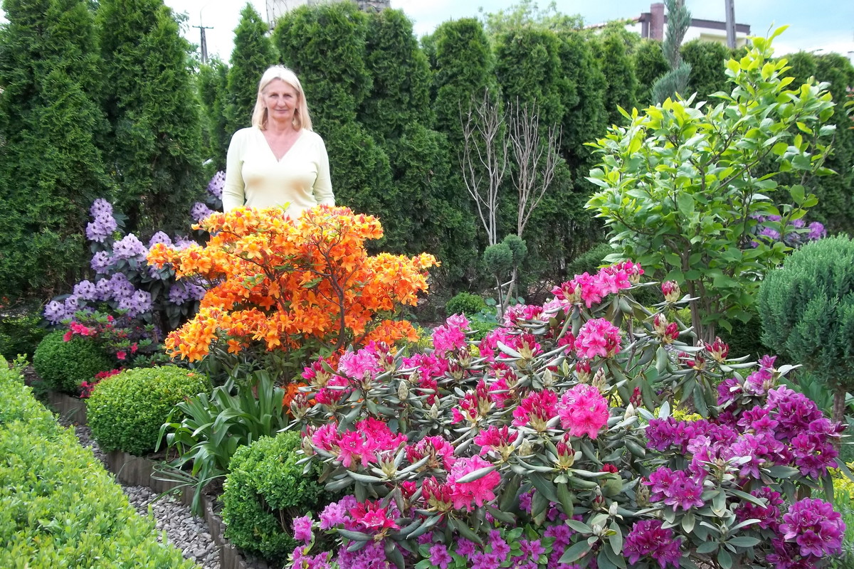 Mama wśród różaneczników