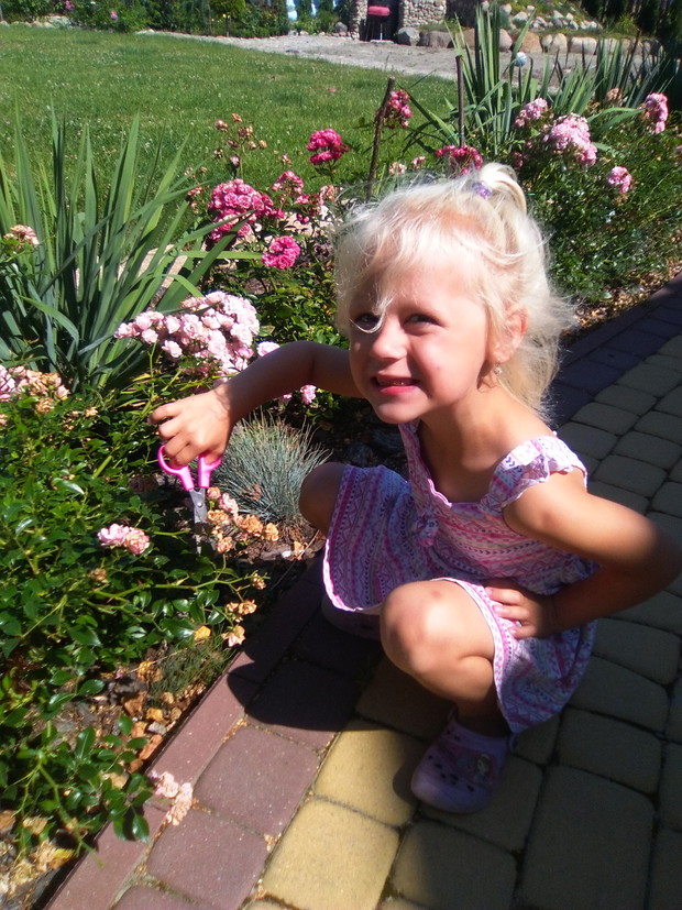 Mamusiu uczy gdzie ciąć  róże :-)