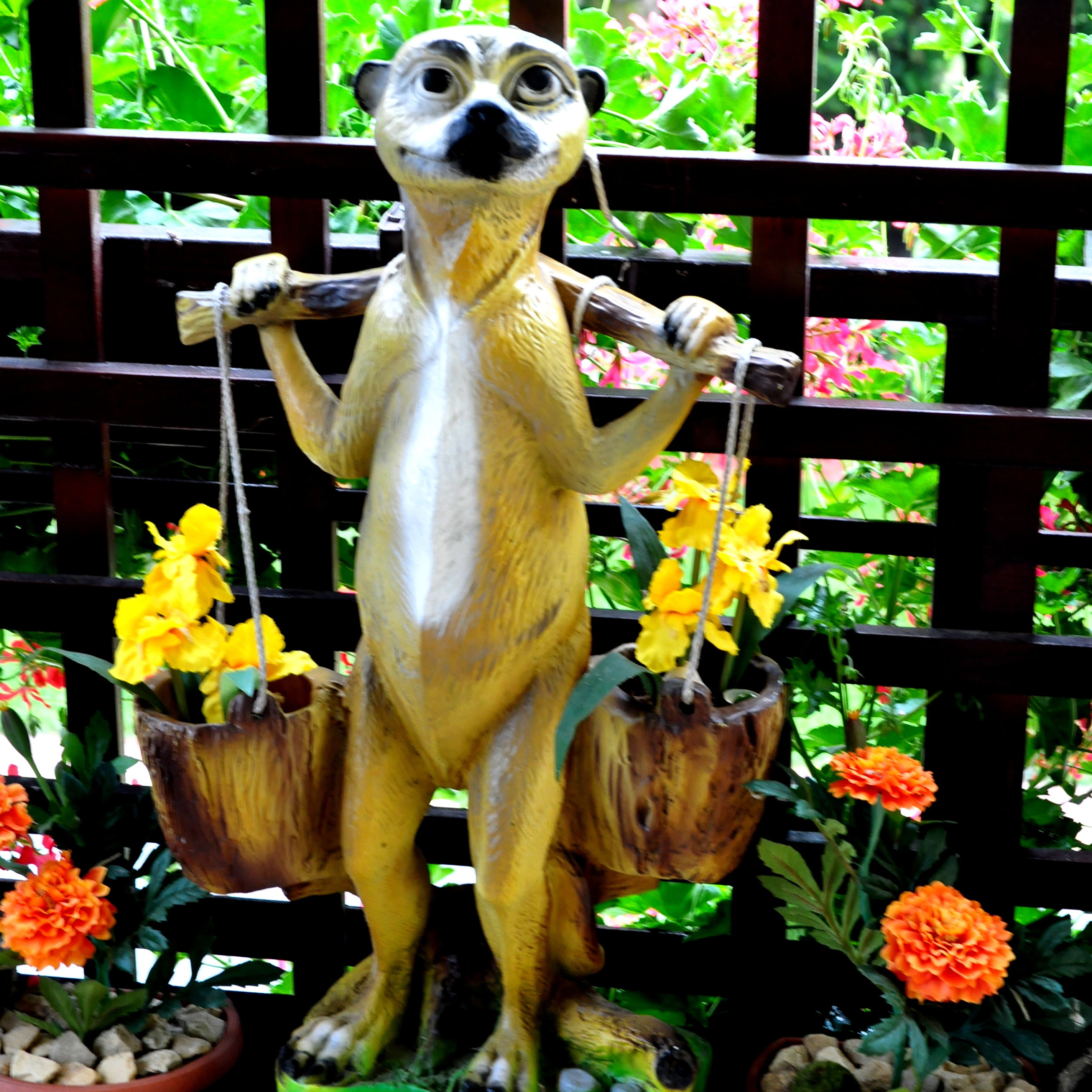 mieszka u Nas od tego lata, i patrząc na wyraz twarzy, chyba mu się spodobało :) 