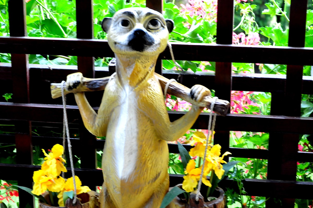 mieszka u Nas od tego lata, i patrząc na wyraz twarzy, chyba mu się spodobało :)