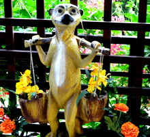 mieszka u Nas od tego lata, i patrząc na wyraz twarzy, chyba mu się spodobało :)