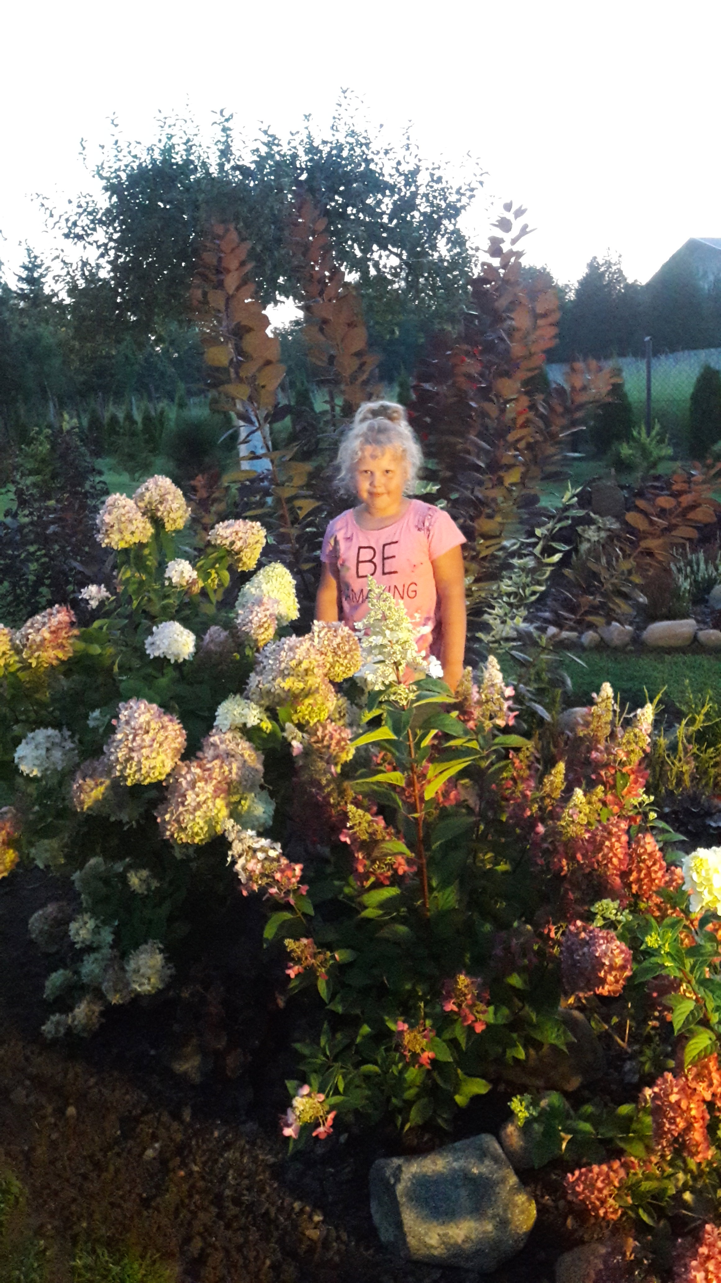 Moj kwiat w hortensji