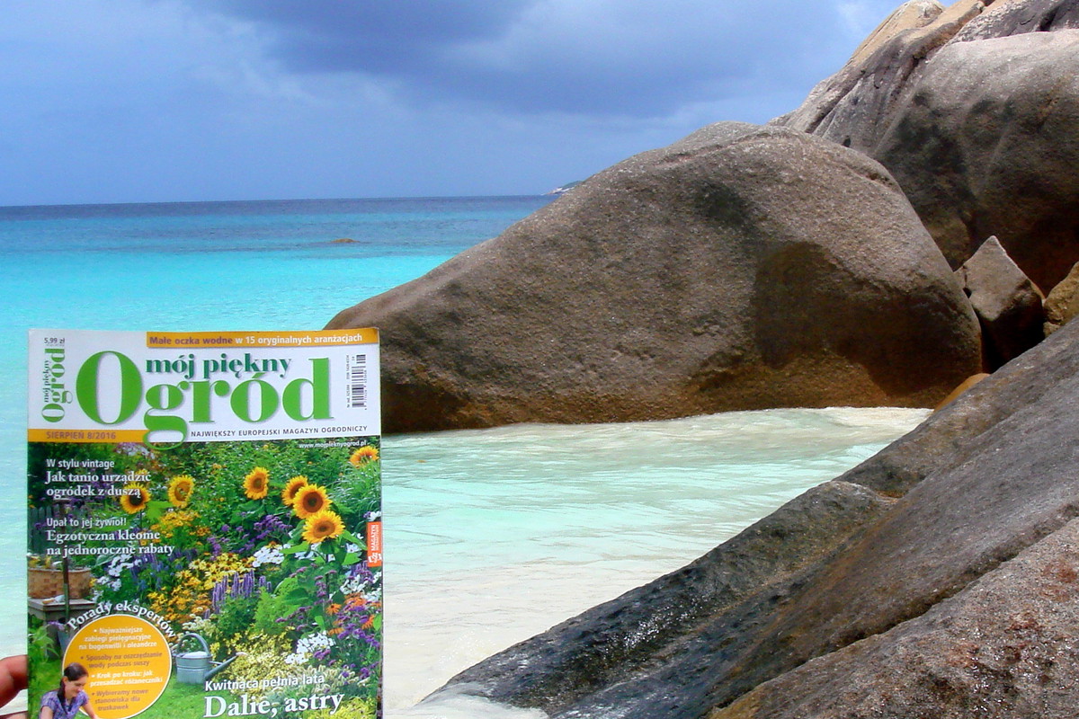 "Mój Piękny Ogród na wakacjach"