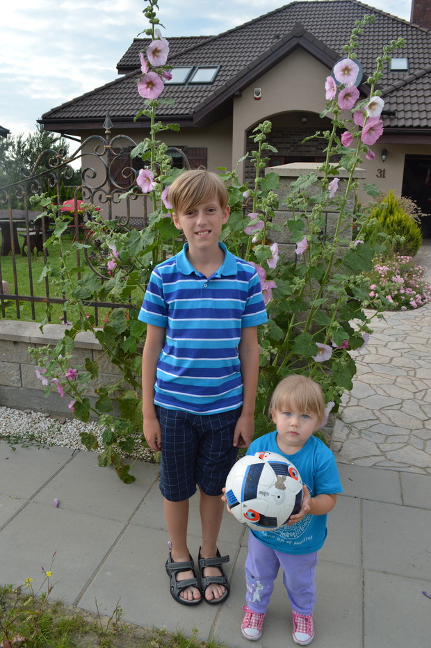 Moja córka wraz z najstarszym kuzynem przy malwach samosiejkach za ogrodzeniem