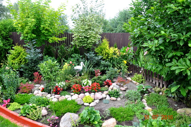 moja ulubiona część ogrodu..