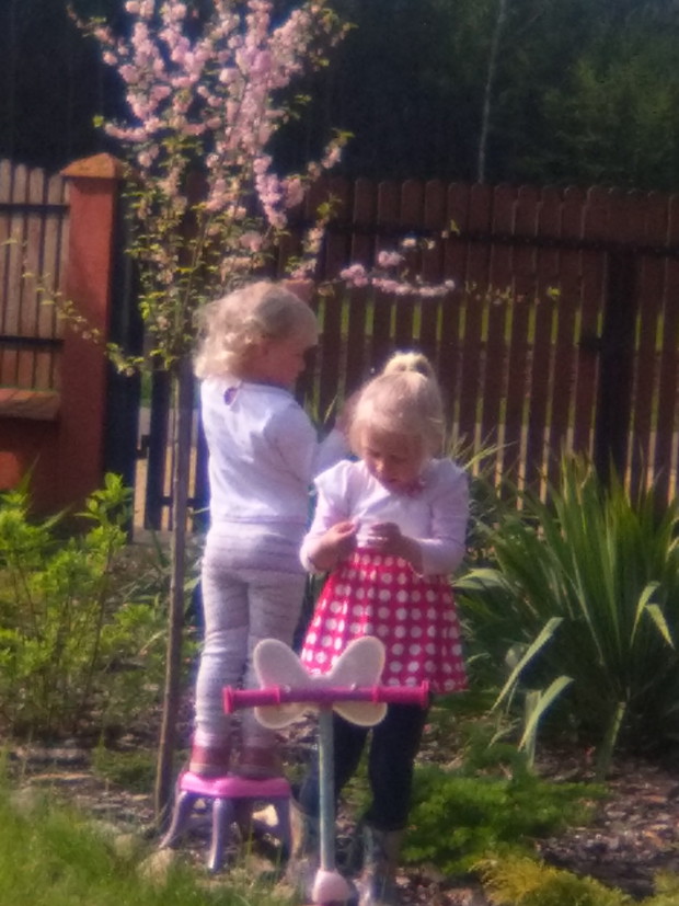 Moje ogrodniczki bardzo dokładnie oglądają każdą roślinę :-)