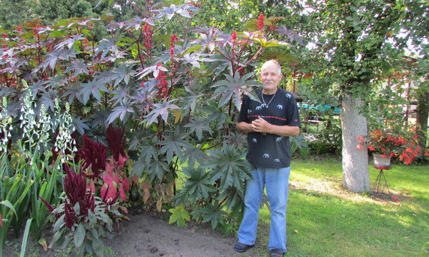 Moje ulubione, jak co roku okazałe, rączniki