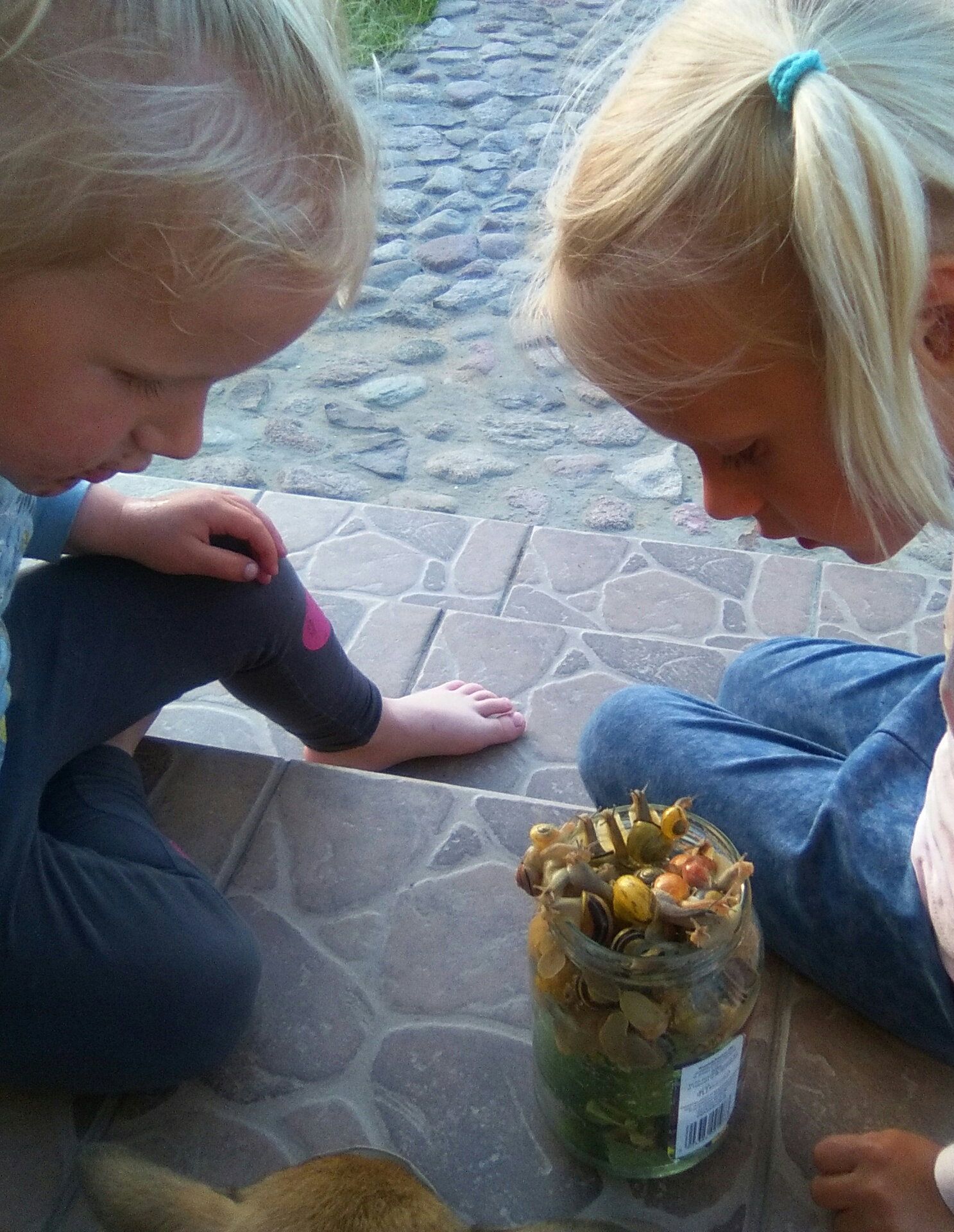 Najlepsze w zbieraniu niechcianych intruzów :-)