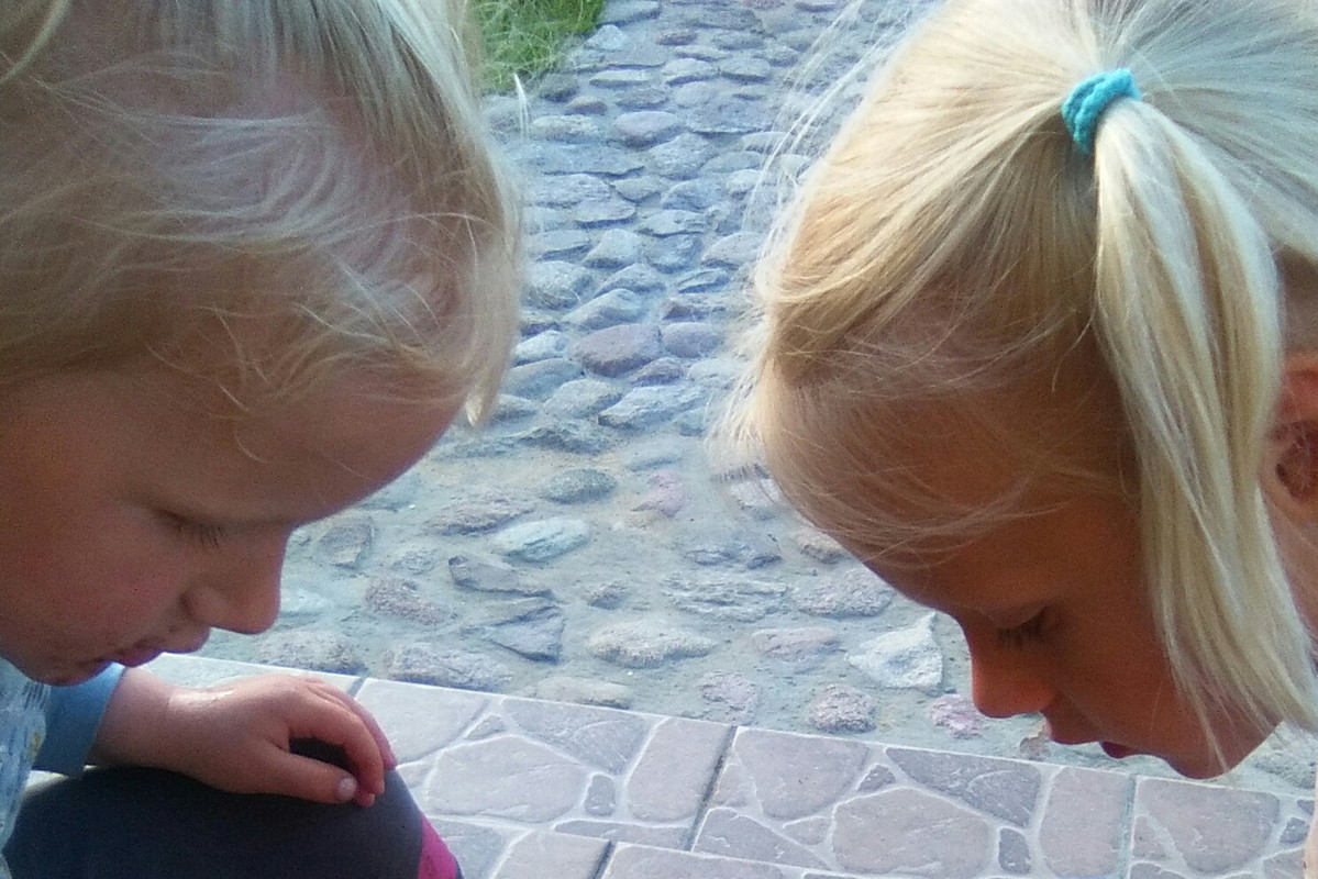 Najlepsze w zbieraniu niechcianych intruzów :-)