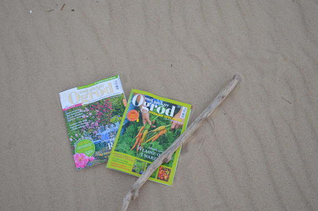 piasek - plaża - wydmy