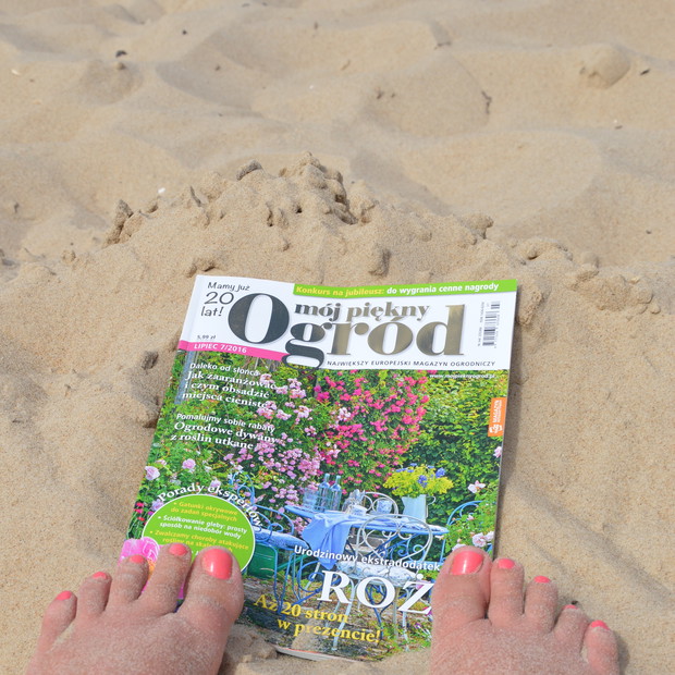 piękna pogoda - piękny ogród